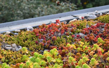 the cost of Handsworth Wood green roof installation